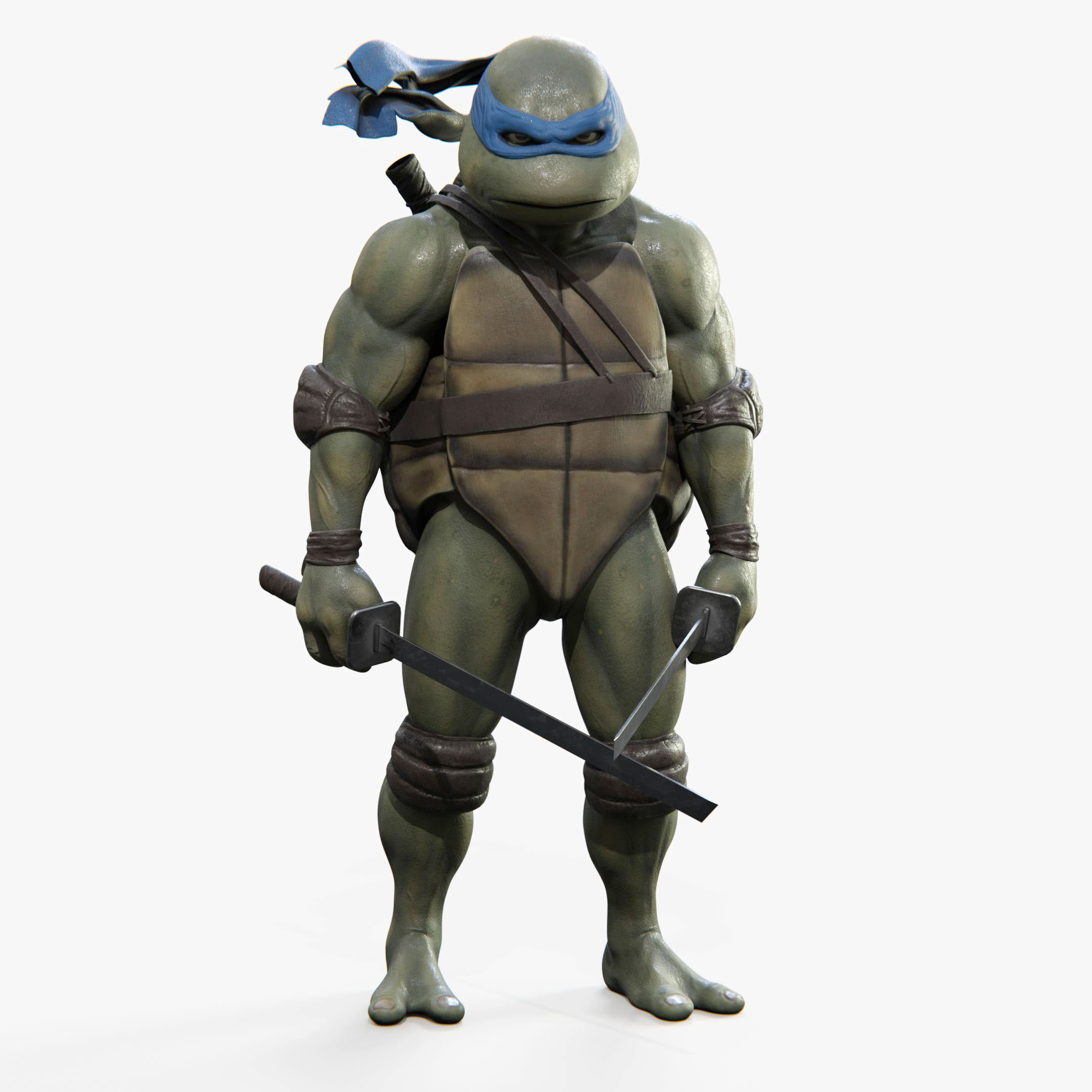 Leonardo Teenage Mutant Ninja Turtle Image