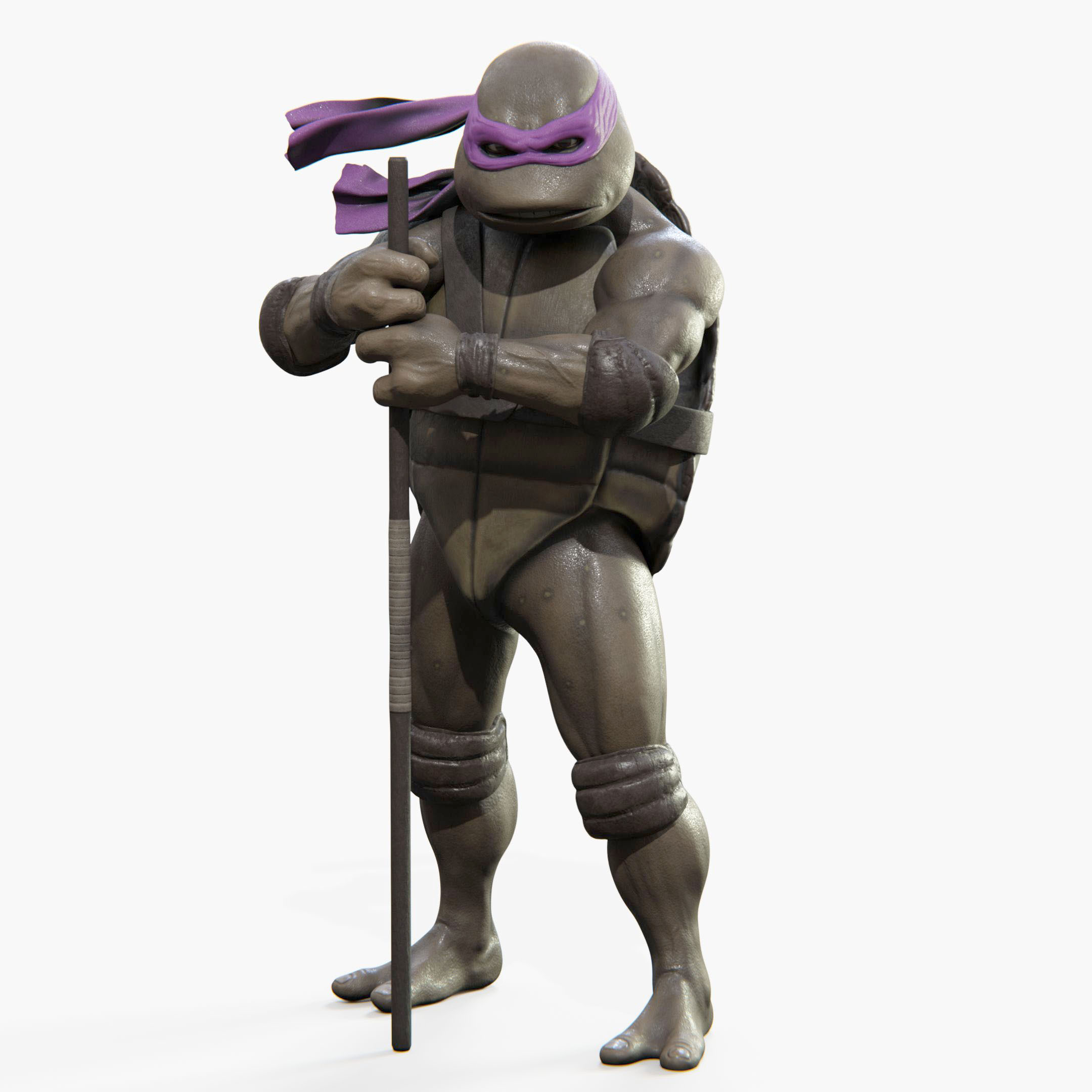 Donatello Teenage Mutant Ninja Turtle Image