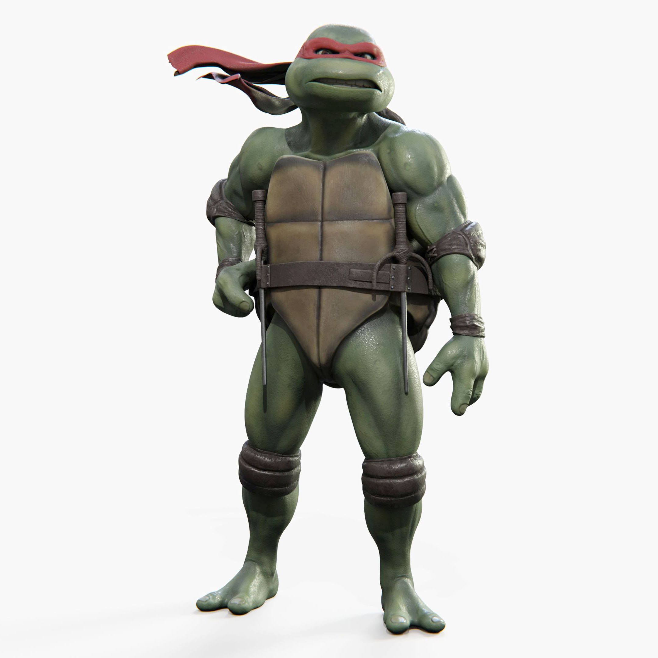 Raphael Teenage Mutant Ninja Turtle Image