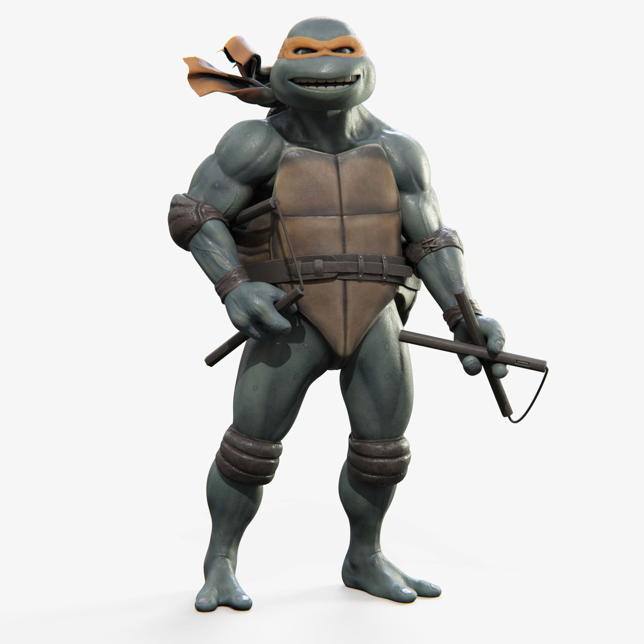 Michelangelo Teenage Mutant Ninja Turtle Image